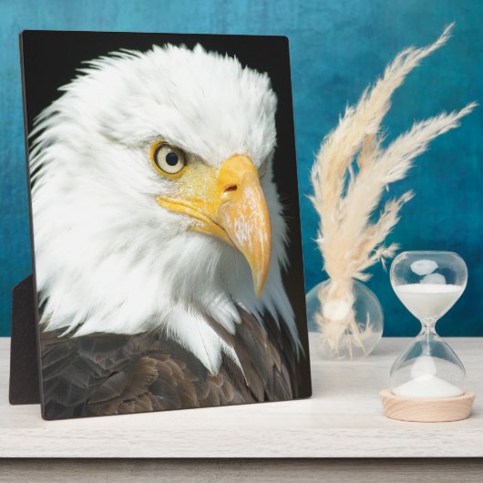 Bald Eagle Fotoplatte (Seite)