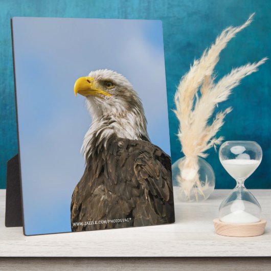Bald Eagle Fotoplatte (Seite)