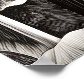 Bald Eagle Friedlich Nature Prairie Sketch Zeichne Poster (Ecke)