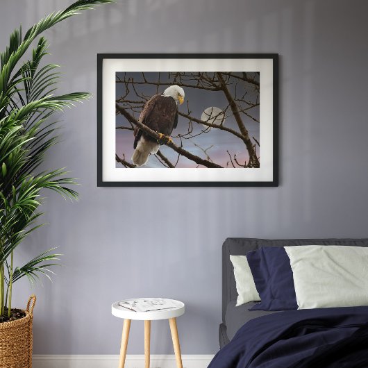 Bald Eagle Full Moon Majestic Eagles Poster