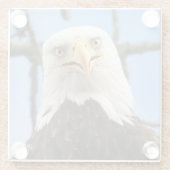 Bald Eagle Funny Face Wildlife Bird-Fotografie Glasuntersetzer (Rückseite)