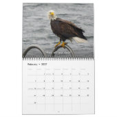 Bald Eagle Funny Fowls Bird Fotografy 2025 Kalender (Feb 2027)