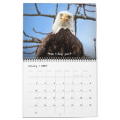 Bald Eagle Funny Fowls Bird Fotografy 2025 Kalender (Jan 2027)