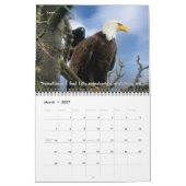 Bald Eagle Funny Fowls Bird Fotografy 2025 Kalender (Mär 2027)