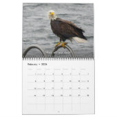 Bald Eagle Funny Fowls Bird Fotografy 2025 Kalender (Feb 2026)