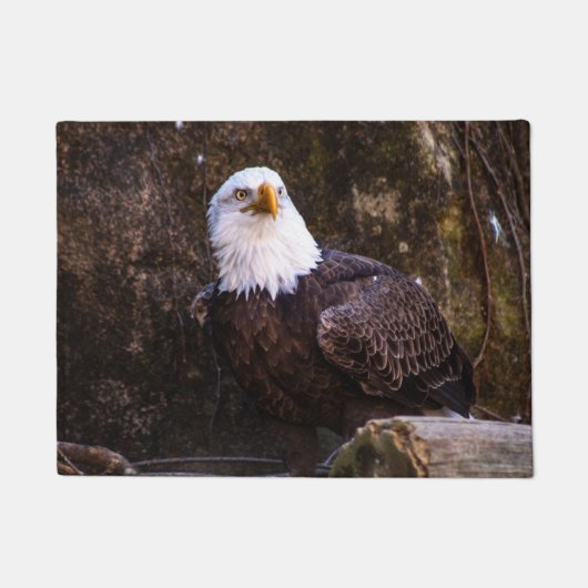 Bald Eagle Fußmatte (Vorderseite)