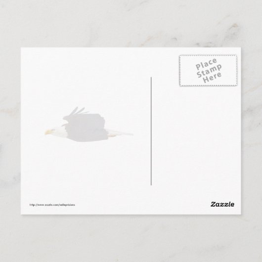 Bald Eagle Gaze Postkarte (Rückseite)