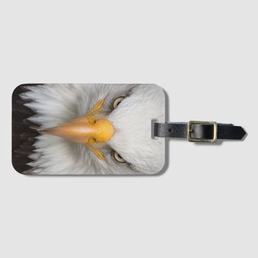 Bald Eagle Gepäckanhänger (Vorderseite (Horizontal))