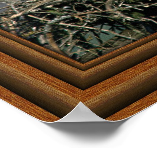 Bald Eagle 'Gerahmt Print' Poster (Ecke)