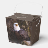 Bald Eagle Geschenkschachtel (Vorderseite)