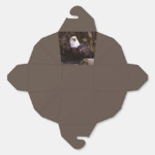 Bald Eagle Geschenkschachtel (Ungeklappt)