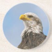 Bald Eagle Getränkeuntersetzer (Vorne)