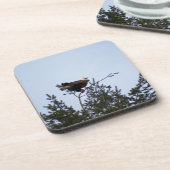 Bald Eagle Getränkeuntersetzer (Linke Seite)