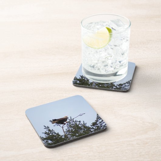 Bald Eagle Getränkeuntersetzer (Rechte Seite)