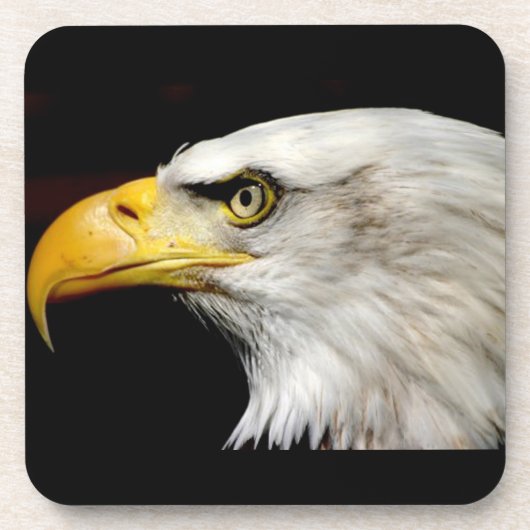 Bald Eagle Getränkeuntersetzer (Vorderseite)