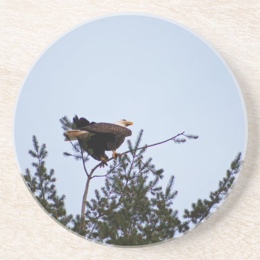 Bald Eagle Getränkeuntersetzer (Vorne)