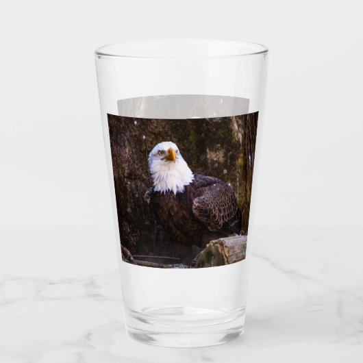 Bald Eagle Glas (Vorderseite)