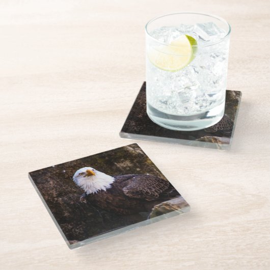 Bald Eagle Glasuntersetzer (Schrägansicht)