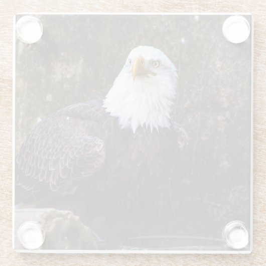 Bald Eagle Glasuntersetzer (Rückseite)
