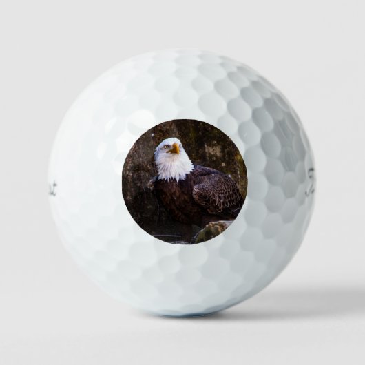 Bald Eagle Golfball (Vorderseite)