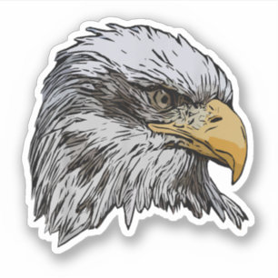 Bald Eagle Graphic American National Symbol Animal Aufkleber