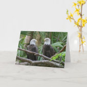 Bald Eagle Greeting Card Karte (Gelbe Blume)