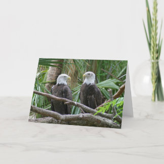 Bald Eagle Greeting Card Karte