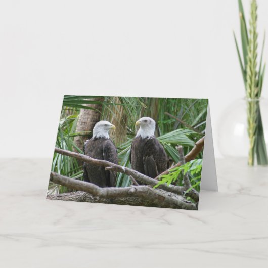 Bald Eagle Greeting Card Karte (Vorderseite)