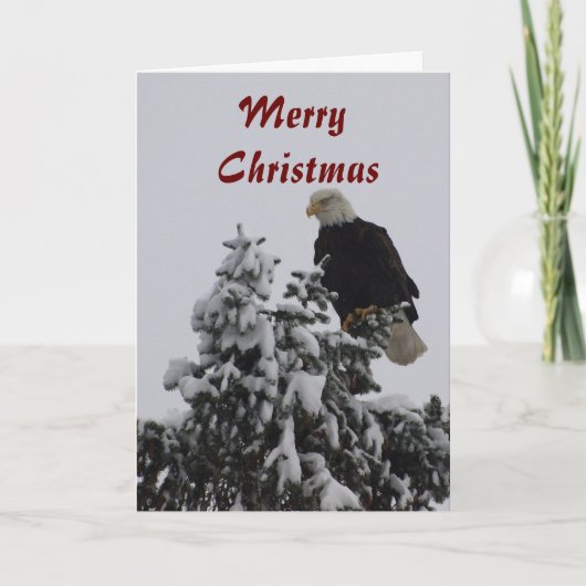 Bald Eagle Grußkarte Feiertagskarte (Vorderseite)