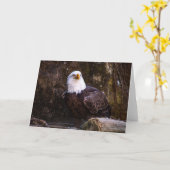 Bald Eagle Grußkarte Karte (Gelbe Blume)