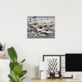 Bald Eagle, Haliäetus leucocephalus, Homer, 2 Poster (Heimbüro)