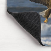 Bald Eagle, Haliäetus leucocephalus, Homer, 3 Mousepad (Ecke)