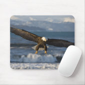 Bald Eagle, Haliäetus leucocephalus, Homer, 3 Mousepad (Mit Mouse)