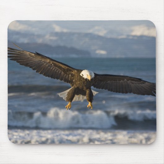 Bald Eagle, Haliäetus leucocephalus, Homer, 3 Mousepad (Vorne)