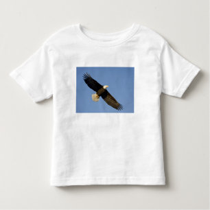 Bald Eagle, Haliäetus leucocephalus, Homer, 4 Kleinkind T-shirt