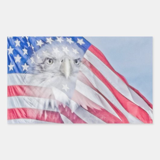 Bald Eagle Head & American Flag Rechteckiger Aufkleber (Vorderseite)