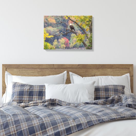 Bald Eagle Herbst Leinwanddruck (Insitu (Schlafzimmer))
