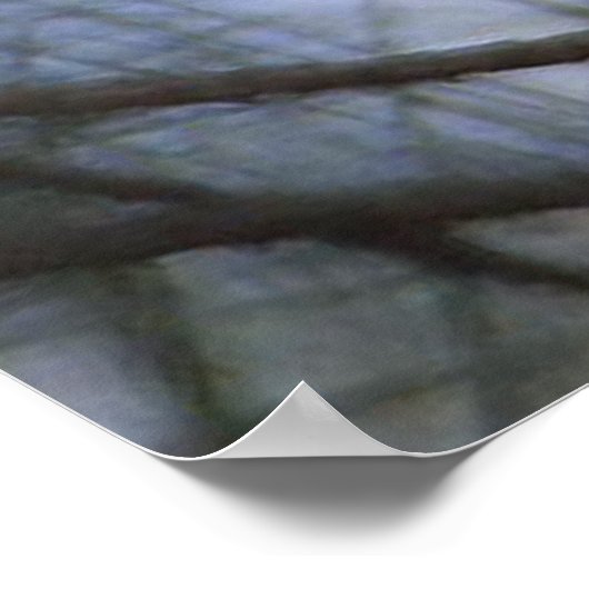 Bald Eagle Hiding Poster (Ecke)