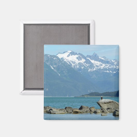 Bald Eagle im Skagway Alaska Magnet (Vorderseite/Rückseite)