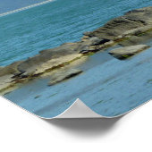 Bald Eagle im Skagway Alaska Poster (Ecke)