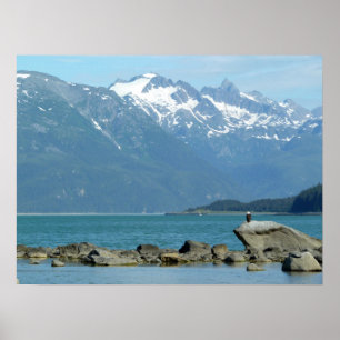 Bald Eagle im Skagway Alaska Poster