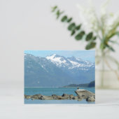 Bald Eagle im Skagway Alaska Postkarte (Stehend Vorderseite)
