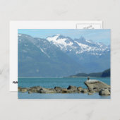 Bald Eagle im Skagway Alaska Postkarte (Vorne/Hinten)