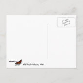 Bald Eagle im Skagway Alaska Postkarte (Rückseite)