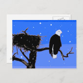 Bald Eagle im Winter - Original Wildlife Art Postkarte (Vorne/Hinten)