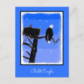 Bald Eagle im Winter - Original Wildlife Art Postkarte (Vorderseite)