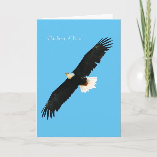 Bald Eagle image for Greeting-card Karte (Vorderseite)