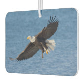 Bald eagle in flight autolufterfrischer (Links)