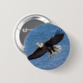 Bald eagle in flight button (Vorne & Hinten)