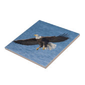 Bald eagle in flight fliese (Seite)